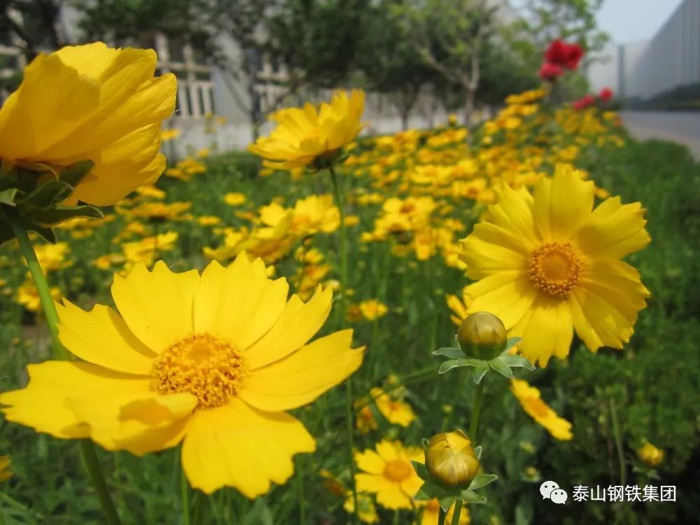 【光影瞬间】欧宝app登录入口-欧宝(中国)摄影家协会作品欣赏