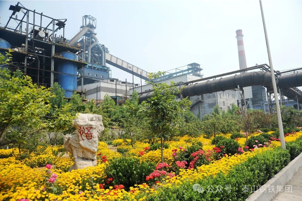 【先锋力量】在“炉火”中淬炼的“钢铁团队”